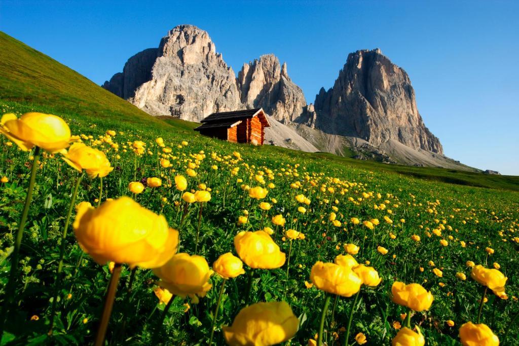 Hotel Col Di Lana กานาเซย์ ภายนอก รูปภาพ